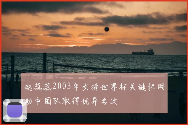 赵蕊蕊2003年女排世界杯关键拦网助中国队取得优异名次