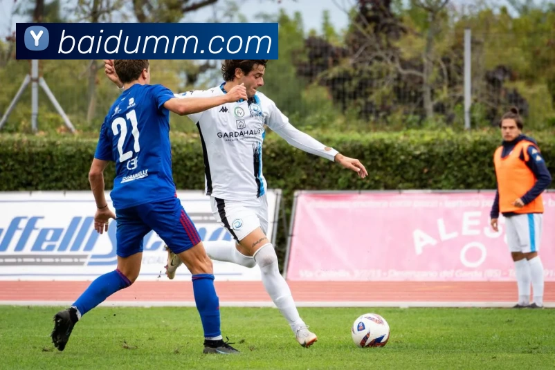 开云 (KAIYUN) 中国官网 - 登陆入口APP 高清赛事图